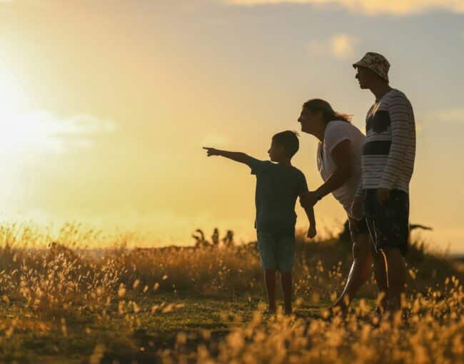 How to Choose a Family Therapist